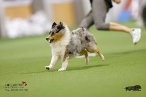 EH8A7697_DxO