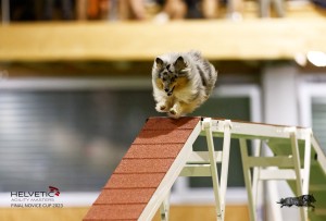 EH8A7710_DxO