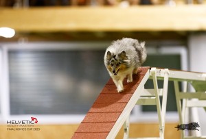 EH8A7712_DxO