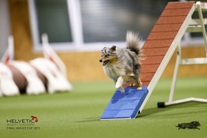 EH8A7719_DxO