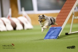 EH8A7720_DxO
