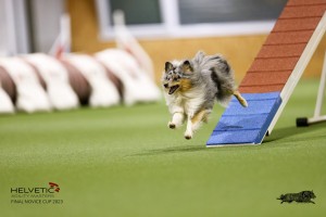 EH8A7721_DxO