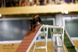 EH8A7755_DxO