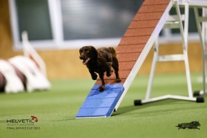 EH8A7763_DxO