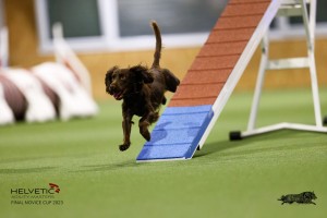 EH8A7765_DxO