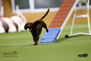 EH8A7766_DxO