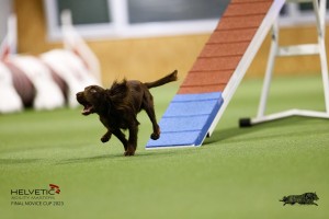 EH8A7767_DxO
