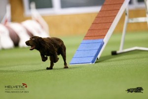 EH8A7768_DxO