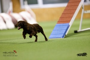 EH8A7769_DxO