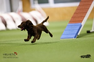 EH8A7770_DxO