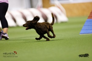 EH8A7772_DxO