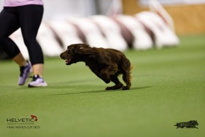 EH8A7773_DxO
