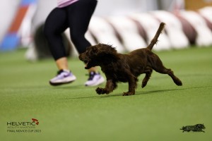 EH8A7775_DxO