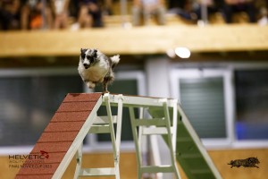 EH8A7791_DxO
