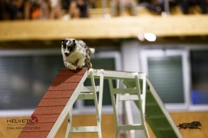 EH8A7792_DxO