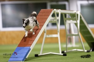 EH8A7797_DxO