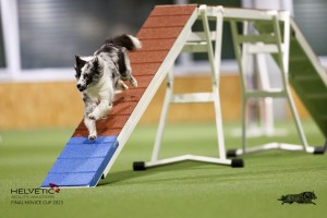 EH8A7798_DxO