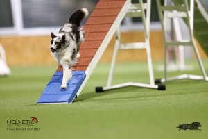 EH8A7799_DxO