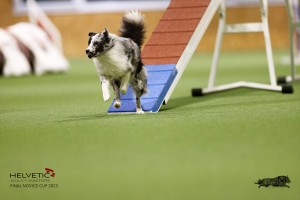 EH8A7801_DxO