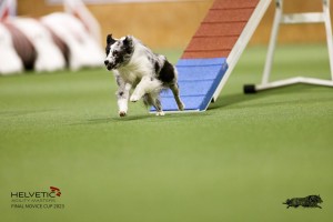 EH8A7802_DxO