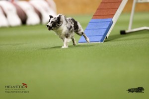 EH8A7803_DxO
