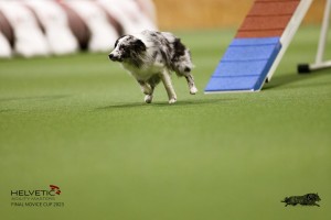 EH8A7804_DxO