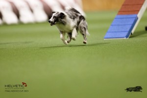 EH8A7805_DxO