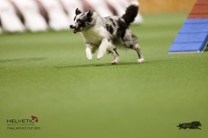EH8A7806_DxO