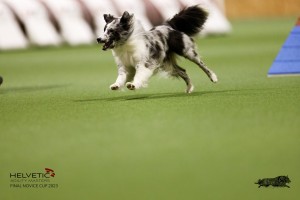 EH8A7807_DxO