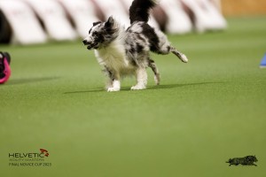 EH8A7808_DxO