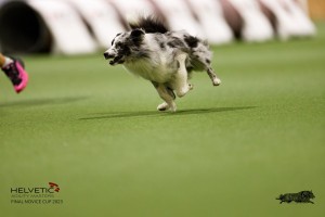 EH8A7809_DxO
