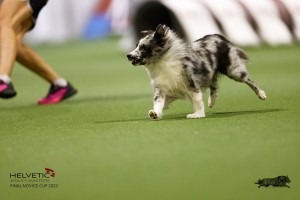 EH8A7812_DxO