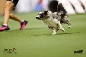 EH8A7813_DxO