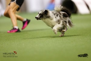 EH8A7814_DxO