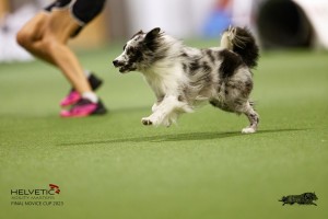 EH8A7815_DxO