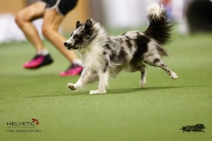 EH8A7816_DxO
