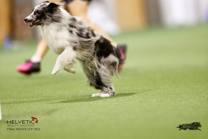 EH8A7819_DxO