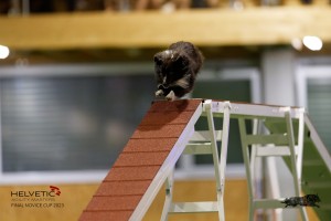 EH8A7839_DxO