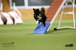 EH8A7848_DxO
