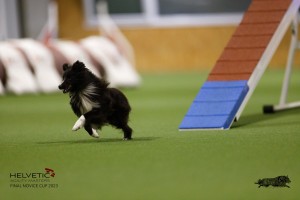 EH8A7853_DxO
