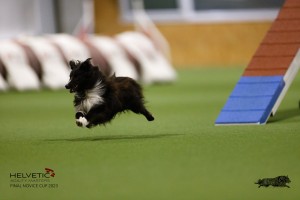EH8A7854_DxO
