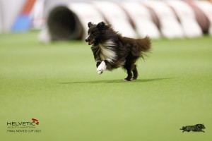 EH8A7858_DxO