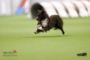 EH8A7859_DxO
