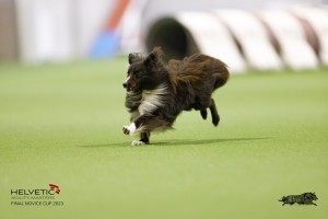 EH8A7860_DxO