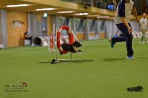 1T0A0214-2_DxO