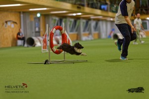 1T0A0215-2_DxO