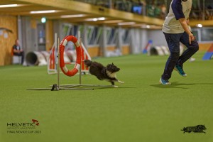 1T0A0216-2_DxO