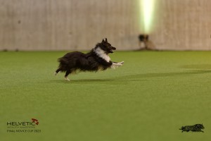 1T0A0317-2_DxO