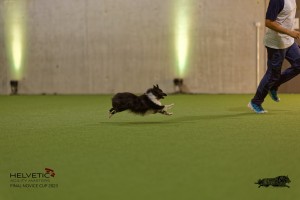 1T0A0318-2_DxO
