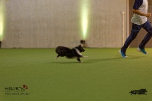 1T0A0319-2_DxO